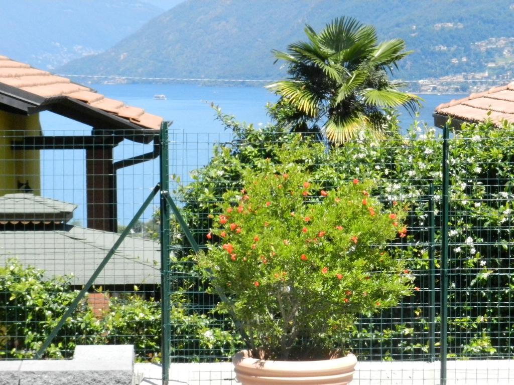 Appartamento Casa Elena 1 Germignaga Esterno foto